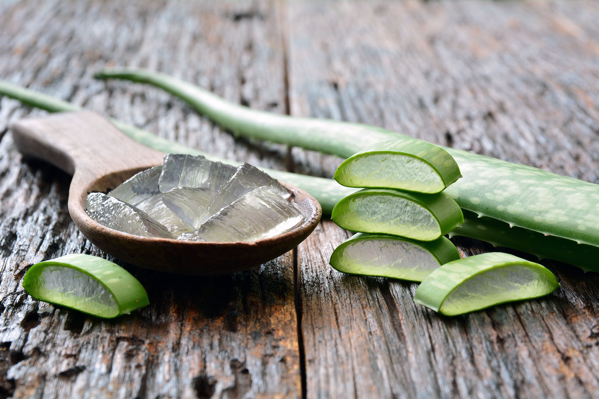 After Sun Gel aus Aloe Vera selber machen (vegan & natrlich)