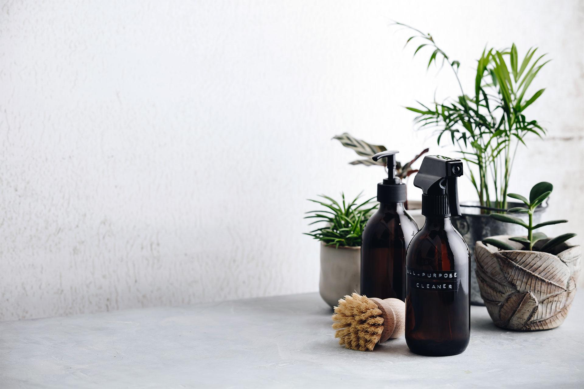 Natürlichen Glasreiniger selber machen