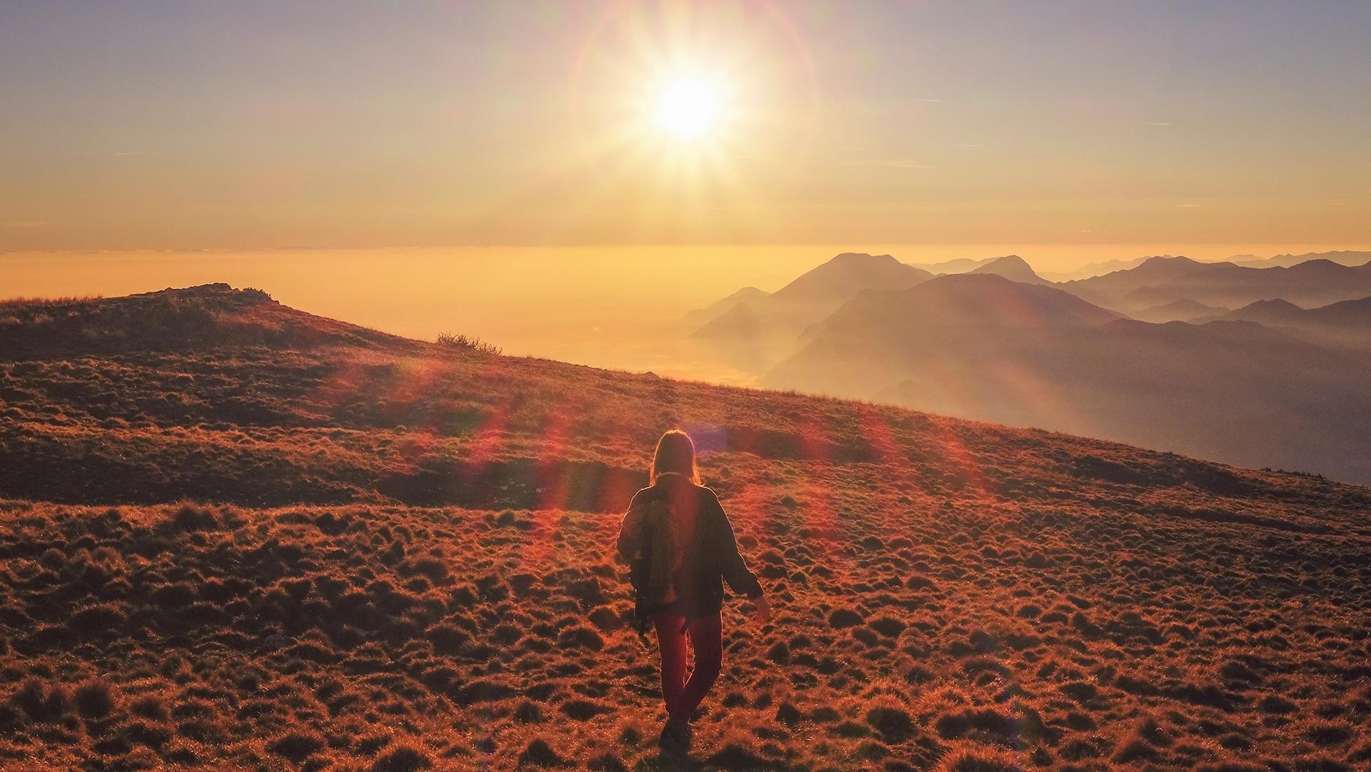 Abnehmen mit Vitamin D?